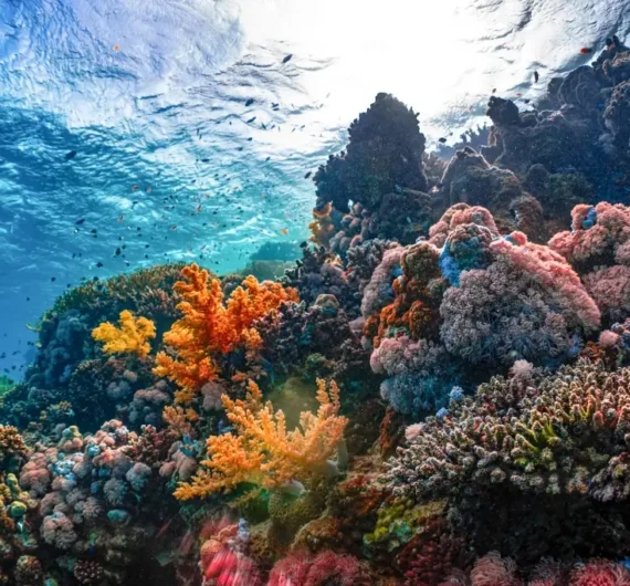 paket wisata jogja murah