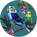 Yanti Temorubun profile picture