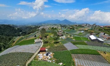 Pecinta Alam Harus Coba! Serunya Pendakian Gunung Sumbing 1 Hari via Jalur Nepal Van Java