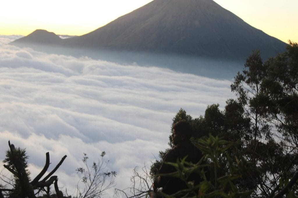 Petualangan Singkat, Kenangan Abadi: Mendaki Gunung Sumbing 1 Hari lewat Jalur Nepal Van Java