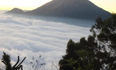 Petualangan Singkat, Kenangan Abadi: Mendaki Gunung Sumbing 1 Hari lewat Jalur Nepal Van Java