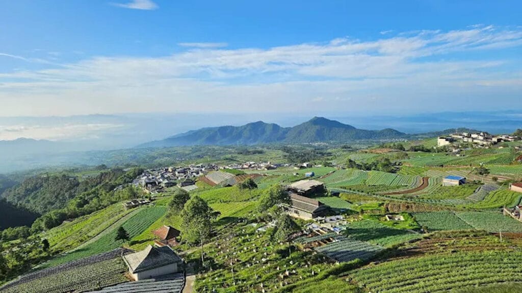 Gunung Sumbing 1 Hari: Tantangan dan Hadiahnya yang Luar Biasa di Jalur Nepal Van Java