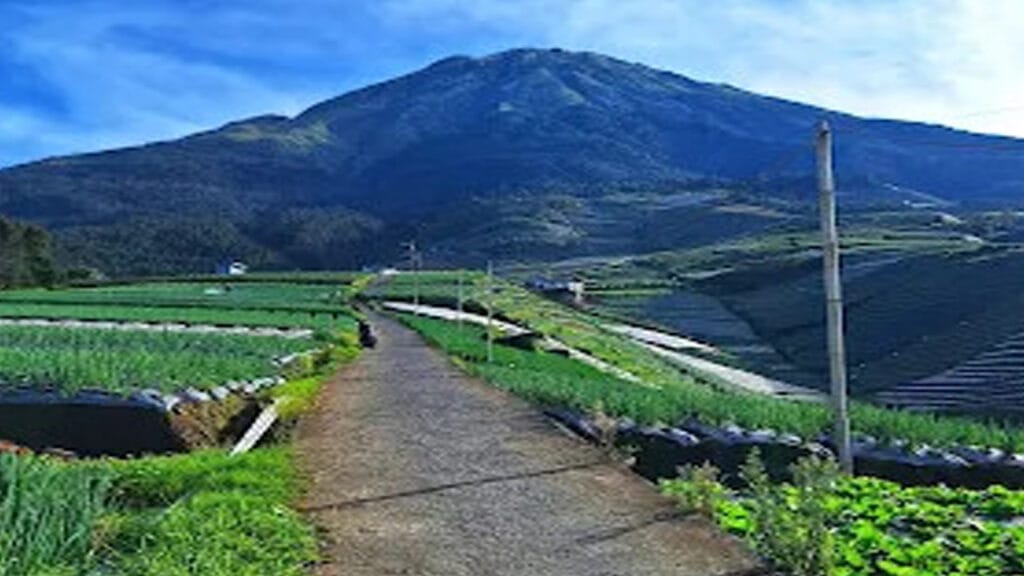 Menyusuri Jalur Nepal Van Java: Petualangan Mendaki Gunung Sumbing yang Tak Terlupakan