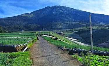 Menyusuri Jalur Nepal Van Java: Petualangan Mendaki Gunung Sumbing yang Tak Terlupakan