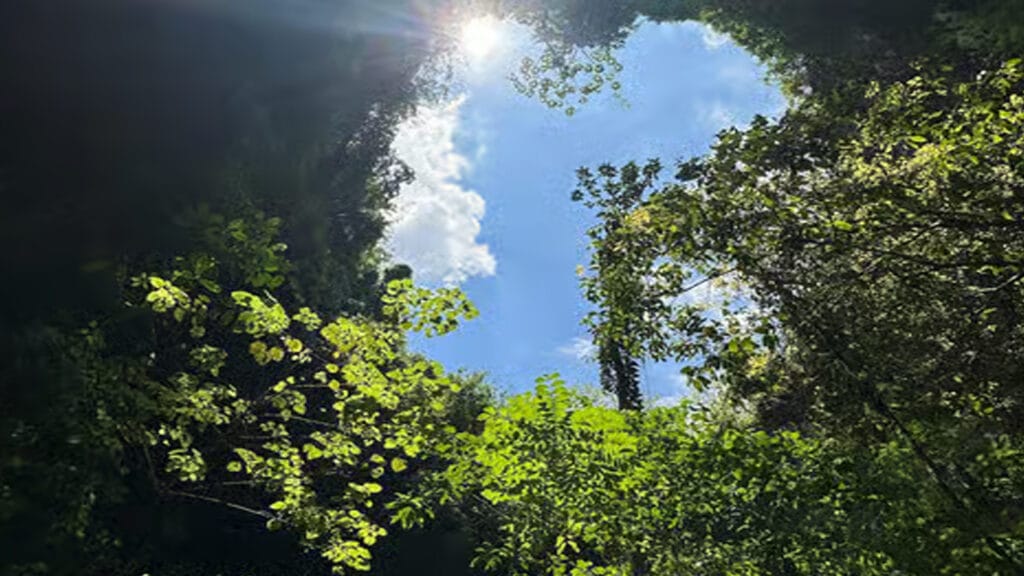 Rasakan Sensasi Seru di Goa Jomblang dan Goa Pindul, Gunung Kidul dengan Paket Wisata Ini