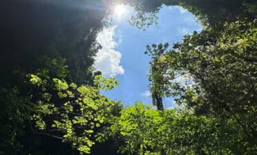 Rasakan Sensasi Seru di Goa Jomblang dan Goa Pindul, Gunung Kidul dengan Paket Wisata Ini