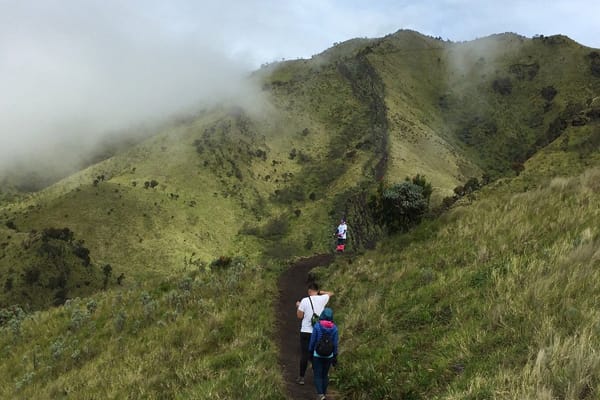 Temukan Keindahan Merbabu dan Prau dalam Perjalanan Mendaki dan Berkemah 4 Hari