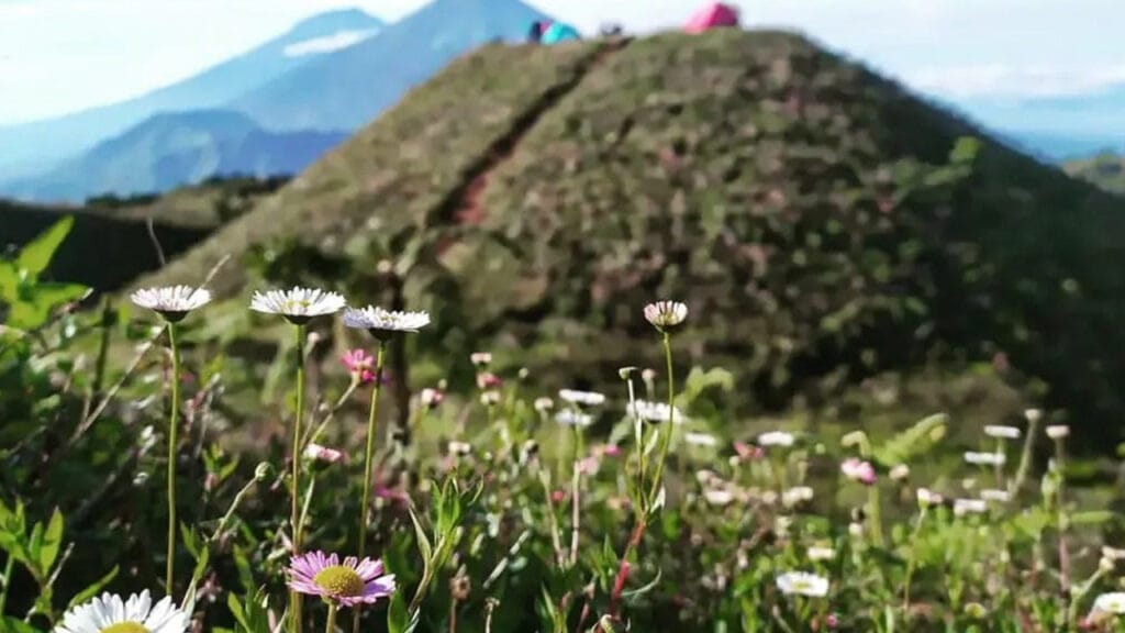 Abadikan Pemandangan Menakjubkan Merbabu dan Prau dalam Ekspedisi Mendaki dan Berkemah 4 Hari