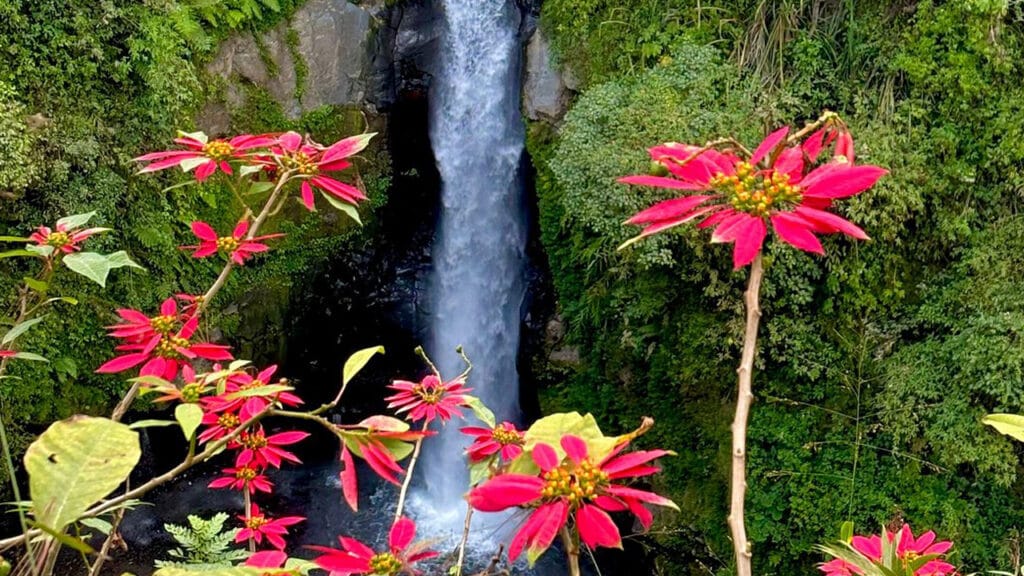 Pacu Adrenalin Anda dengan Tur Jeep Merapi ke Air Terjun Kedung Kayang