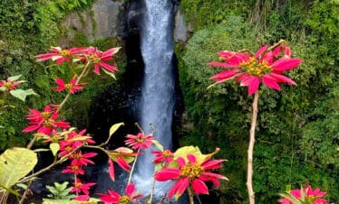 Pacu Adrenalin Anda dengan Tur Jeep Merapi ke Air Terjun Kedung Kayang
