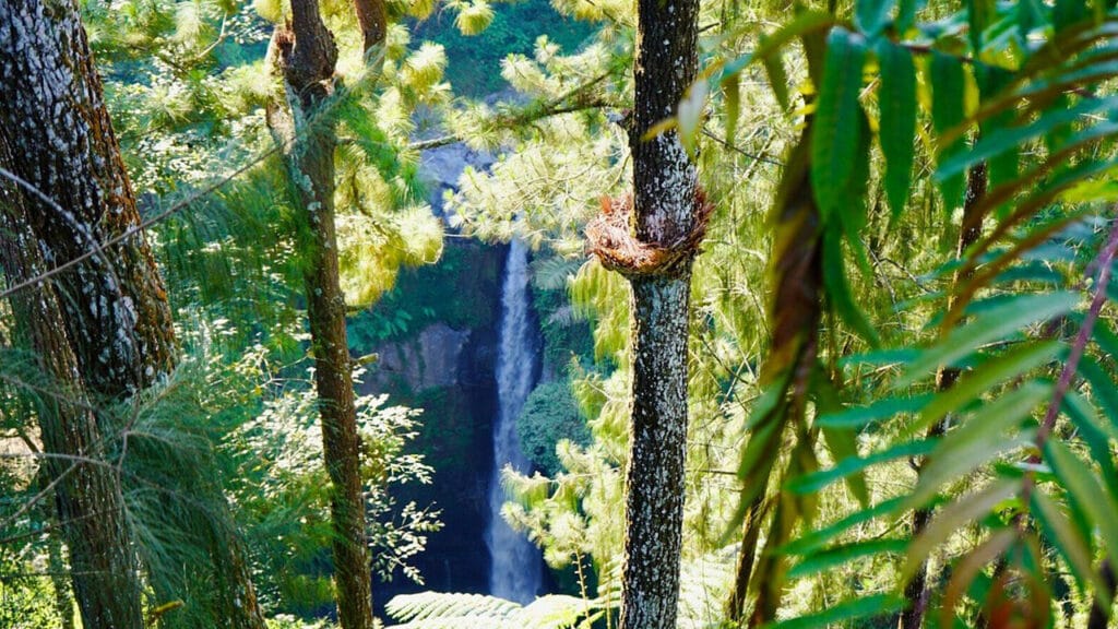 Menjelajahi Harta Karun Tersembunyi Yogyakarta: Jeep Merapi dan Air Terjun Kedung Kayang