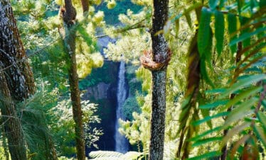 Menjelajahi Harta Karun Tersembunyi Yogyakarta: Jeep Merapi dan Air Terjun Kedung Kayang