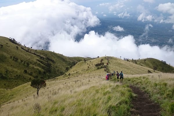 Petualangan 4H3M: Mendaki Merbabu dan Prau untuk Pengalaman Hiking dan Camping Terbaik