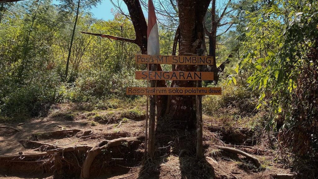 Petualangan Hiking Camping Sumbing 2 Hari 1 Malam: Menaklukkan Gunung dan Hutan Belantara