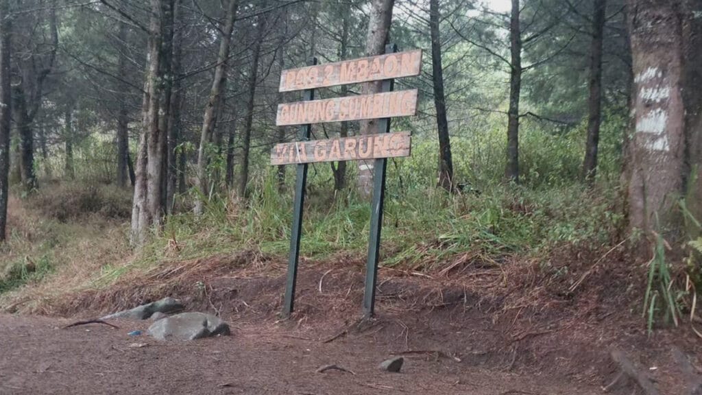 Kesegaran Alam: 2 Hari Hiking dan Camping di Basecamp Garung Gunung Sumbing