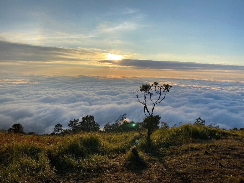 Hiking Merbabu 1 Hari