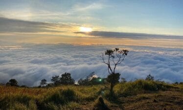 Hiking Merbabu 1 Hari
