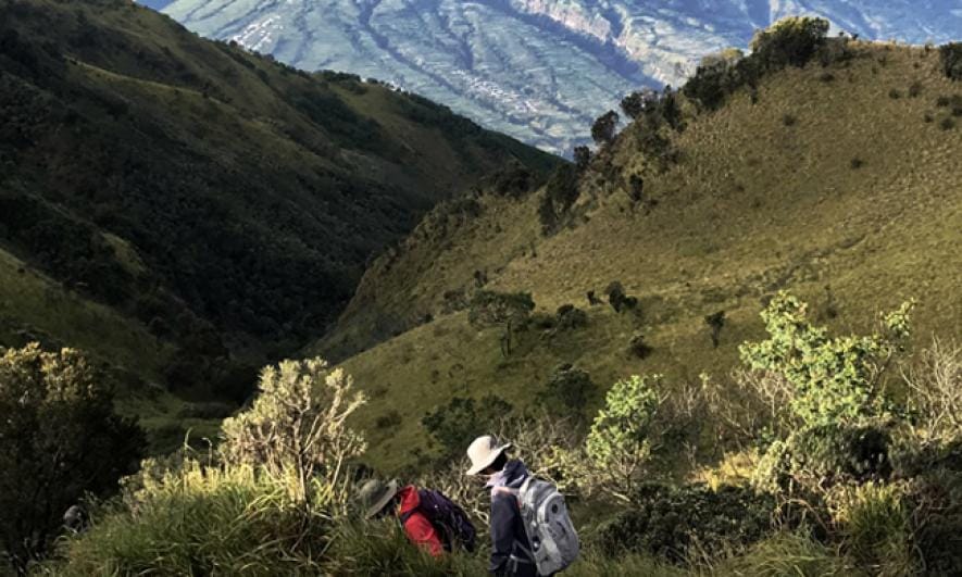Birdwatching dan Stargazing: Pengalaman Unik Hiking Camping Merbabu 2H1M